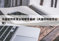 大连软件开发公司哪家最好（大连好的软件公司）