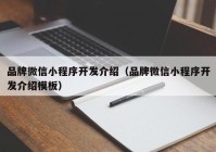 品牌微信小程序开发介绍（品牌微信小程序开发介绍模板）