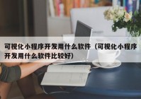 可视化小程序开发用什么软件（可视化小程序开发用什么软件比较好）